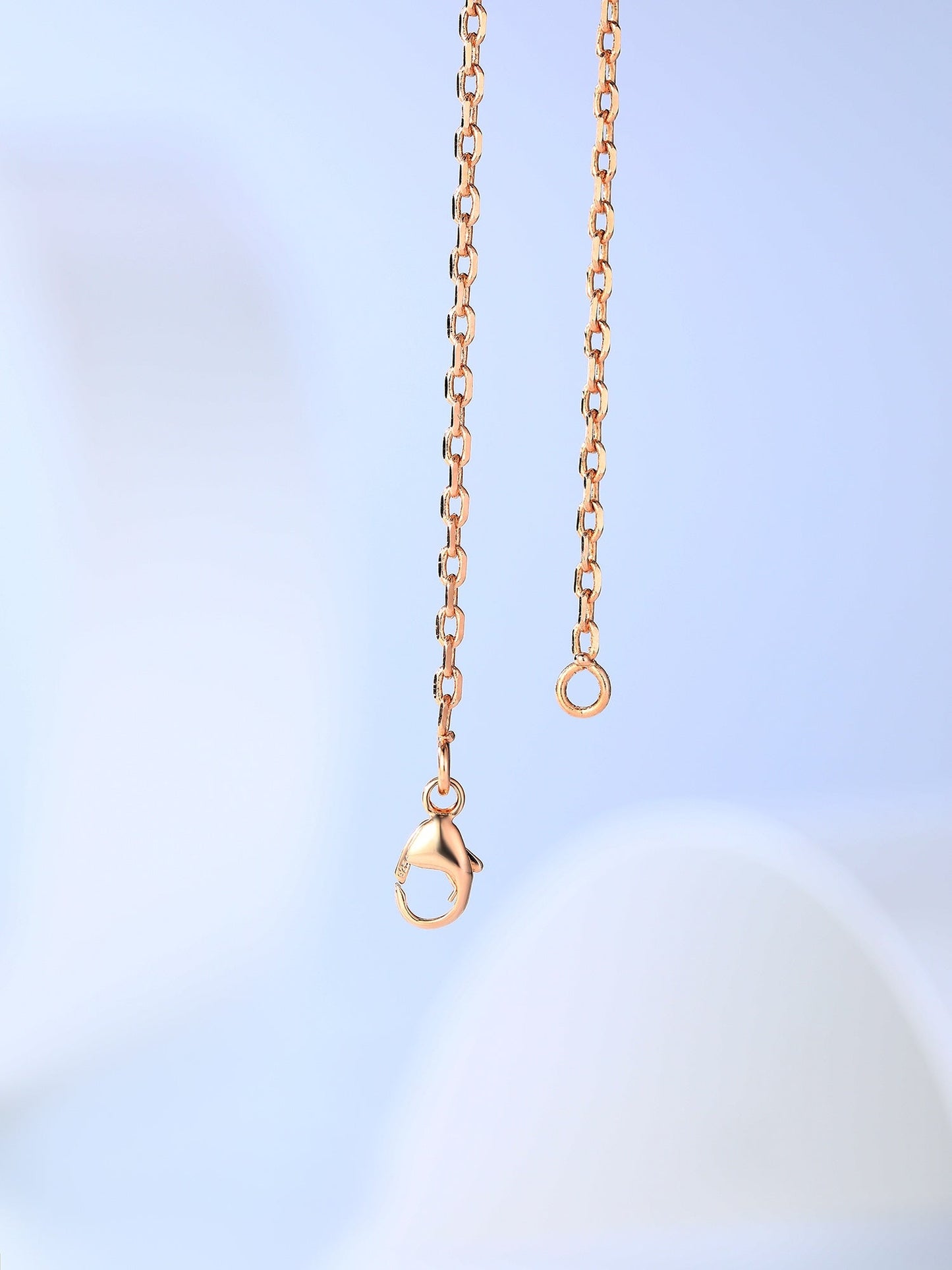 [Avelora]H CAGE ROSE GOLD NECKLACE